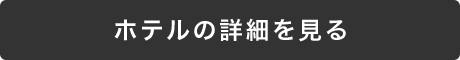 ホテルの詳細を見る