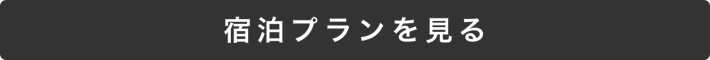 宿泊プランを見る