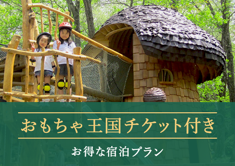 おもちゃ王国パック