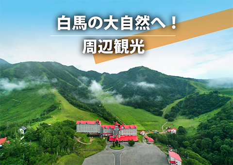 夏におすすめの周辺観光情報