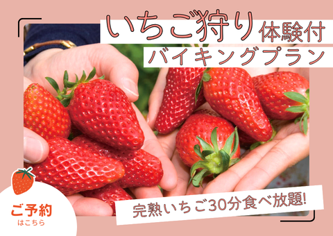 いちご狩りプラン