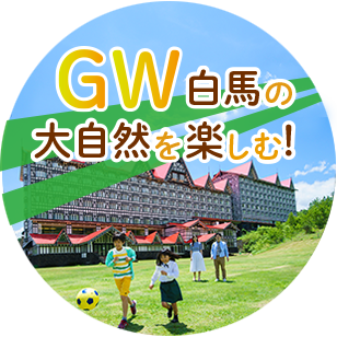 GW限定