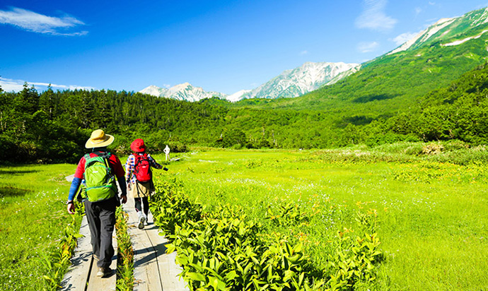白馬連峰を望む日本有数の高層湿原「栂池自然園」