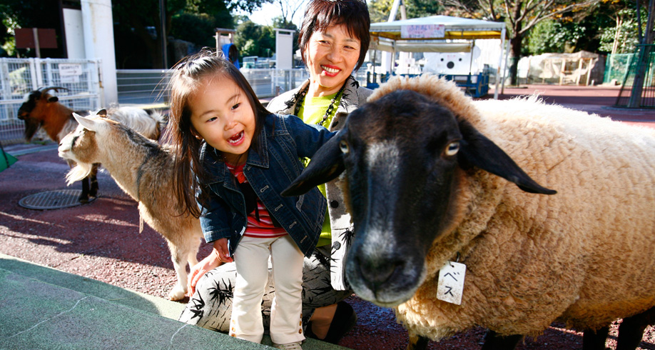 浜松市動物園へ行こう！子供とお出かけに最適な見どころ案内