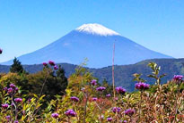 スタッフブログ