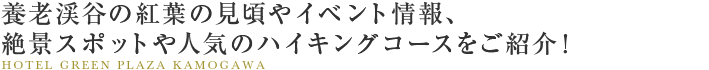 養老渓谷の紅葉の見頃やイベント情報、絶景スポットや人気のハイキングコースをご紹介！