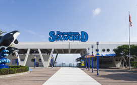 観光に便利な立地