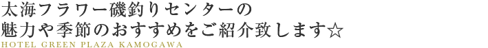 太海フラワー磯釣りセンターの魅力や季節のおすすめをご紹介致します☆