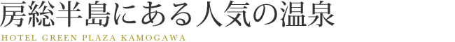 房総半島にある人気の温泉