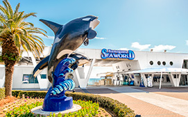 観光に便利な立地