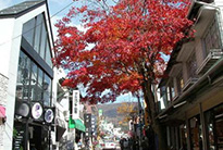 旧軽井沢銀座通りへ行くなら｜事前に知りたいおすすめ情報