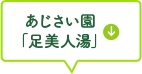 あじさい園「足美人湯」