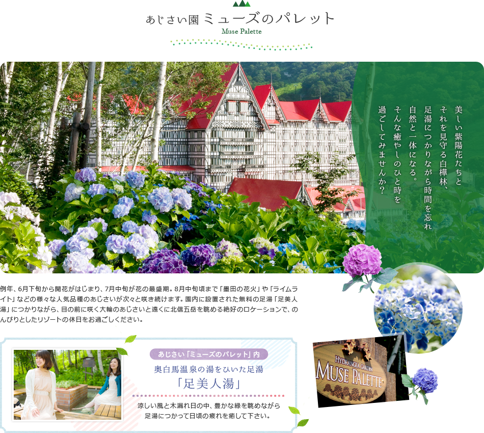 あじさい園ミューズのパレット
