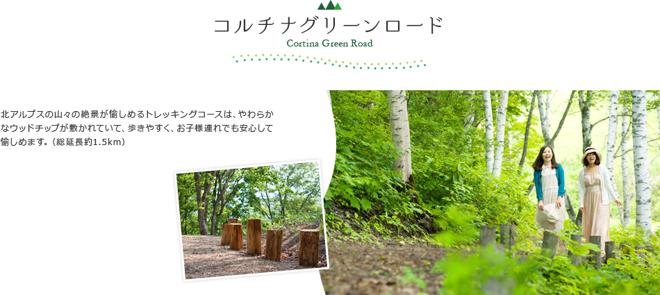 コルチナグリーンロード