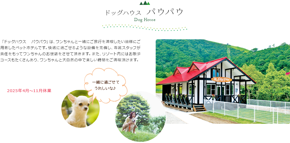 ドッグハウス パウパウ