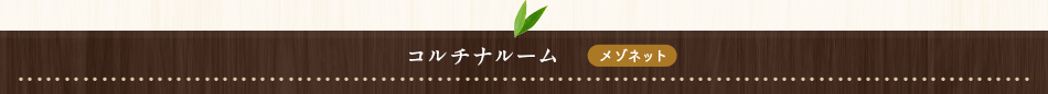コルチナルーム【メゾネット】