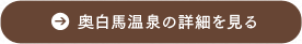 奥白馬温泉の詳細を見る